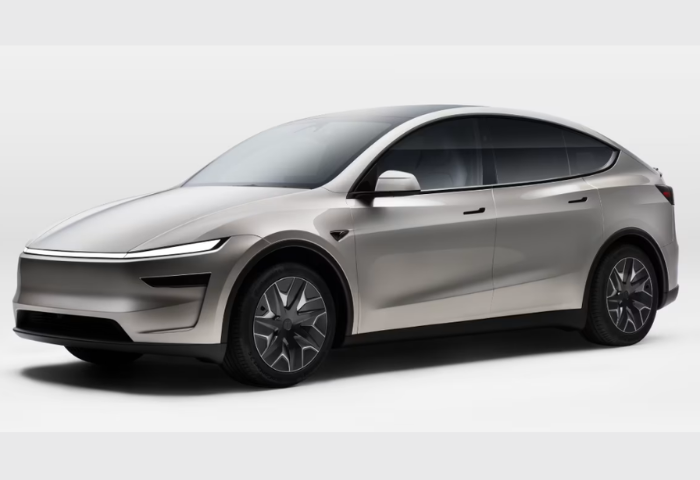 Tesla Model Y L India